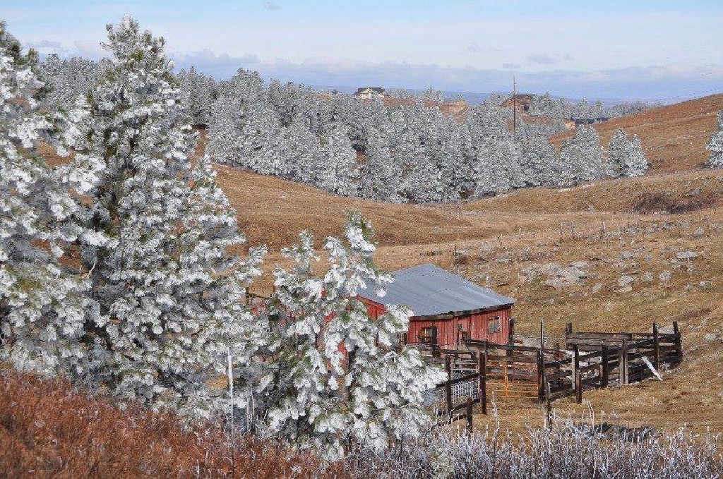 Black-Hills-SD/1024x768_Frost near Rapid City.jpg